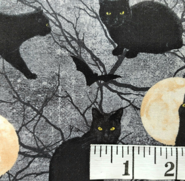 Black Cat Capers - Cats Chasing Moon by Northcott 1/2yd Cuts