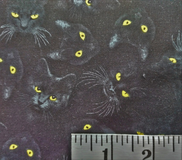 Black Cat Capers - Cat Eyes by Northcott 1/2yd Cuts